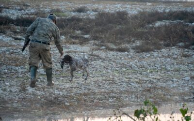 Skydeteknikker til hurtige mål