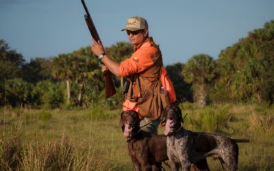 Introduktion til vildthåndtering