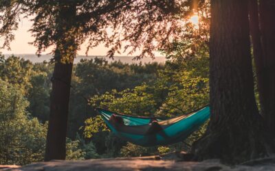 Essentielt udstyr til den næste jagttur