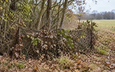 Camouflage til jagt: skjul, bevægelse og hensyn