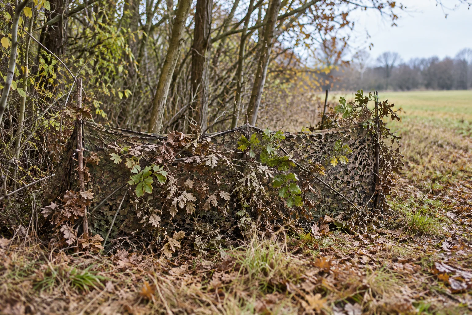 Camouflage til skjul med afdæmpet net og grene i skovbrynet