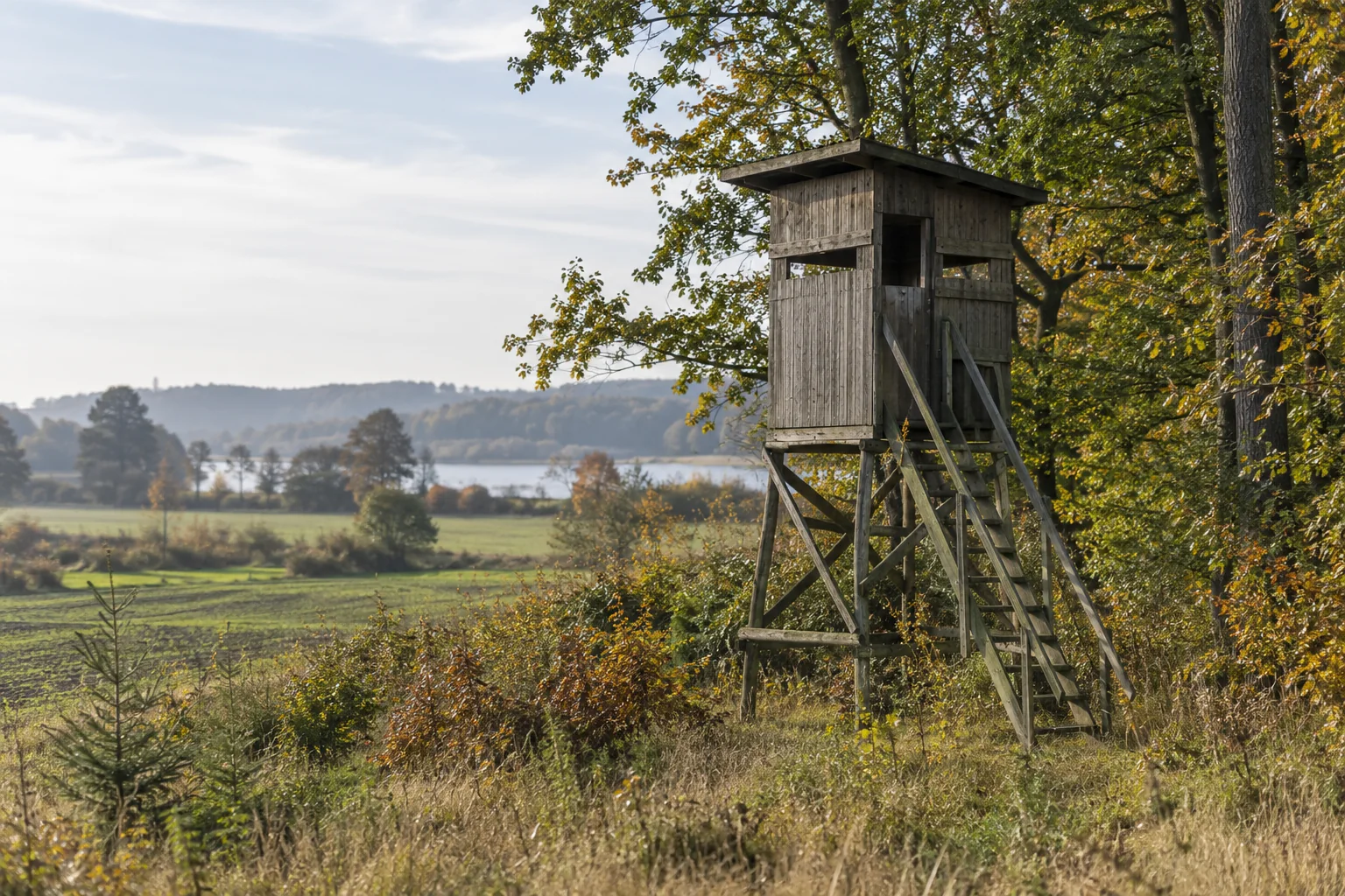 Et jagttårn i træ ved overgangen mellem skov og mark