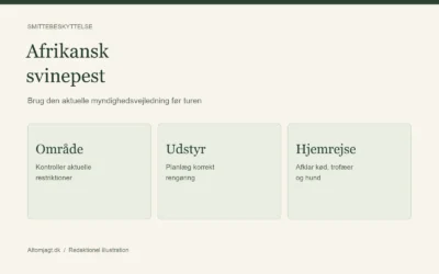 Afrikansk svinepest: forberedelse for jægere