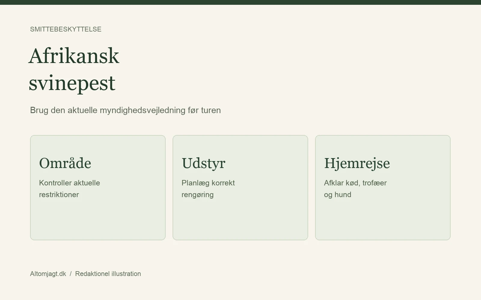 Afrikansk svinepest: overblik over områdekrav, udstyr og hjemrejse