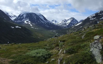 Hund med til Norge: dokumenter og rejseforberedelse