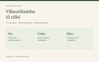 Våbentilladelse til riffel: proces og officielle indgange