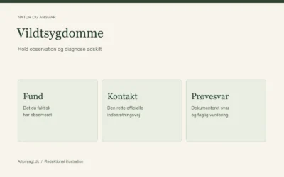 Vildtsygdomme: overblik og officielle kontaktveje