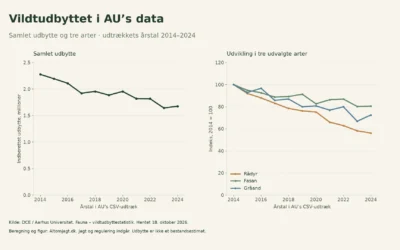 Vildtudbyttet i AU-data: udviklingen fra 2014 til 2024