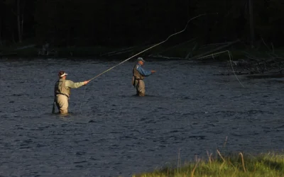 Waders til jagt: pasform, materialer og sikker brug